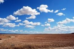 Landscape3